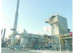 燕山石化-高壓裝置料倉(cāng)尾氣RTO